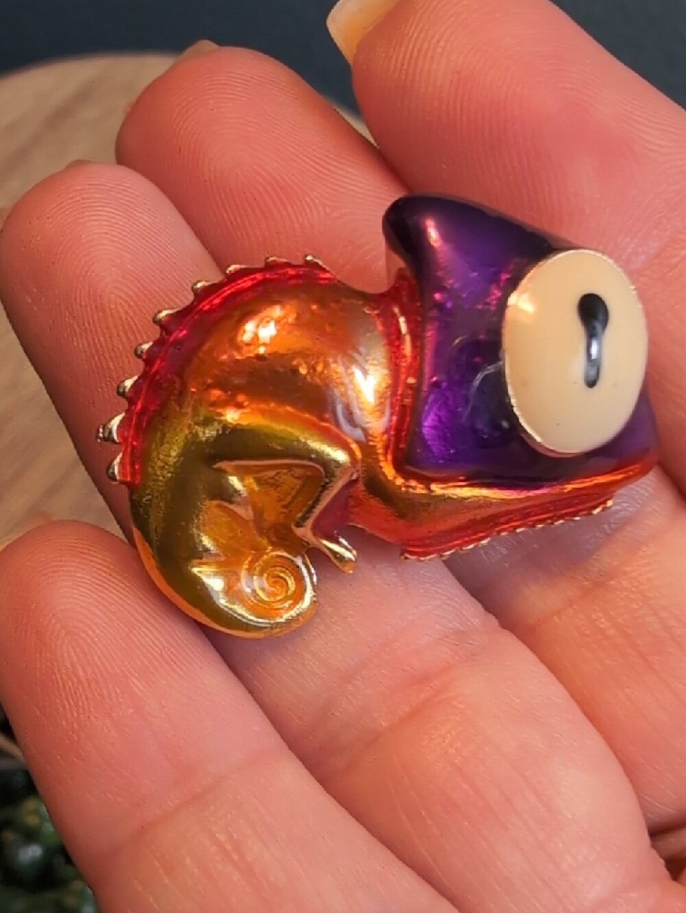 Colorful Chameleon Pin and Pink Candy Brooch Set - Picture 8 of 8